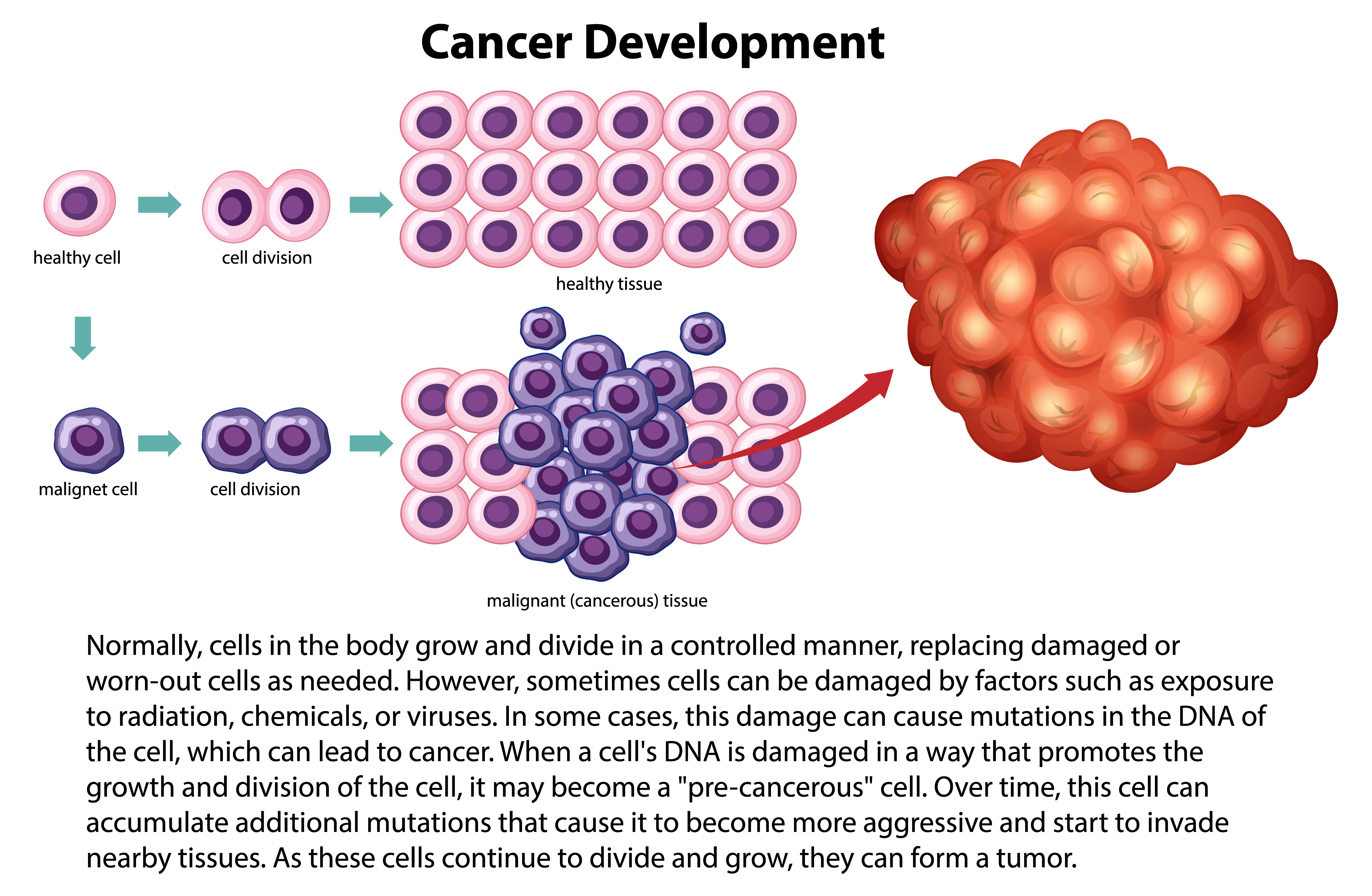 Early Biomarkers of Malignant Tumor Initiation and Progression: A Comprehensive Review Early Biomarkers of Malignant Tumor Initiation and Progression: A Comprehensive Review