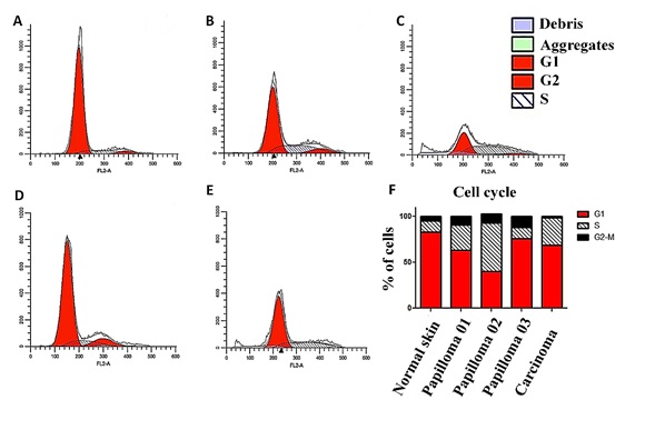 Primary Cultures Derived From Bovine Papillomavirus-Infected Lesions As Model To Study Metabolic Deregulation
