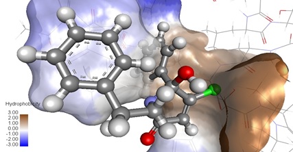 Pre-Clinical Evaluation of CCK2  Antagonist PNB-001 (4-Chloro-5-Hydroxy1-Phenylethyl-5-Phenyl-1,5-Dihydro-Pyrrol-2-One) Towards The Design For A First-In-Man Clinical Trial