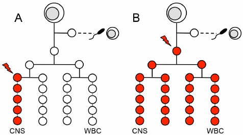 Improving Detection of Somatic Mutations