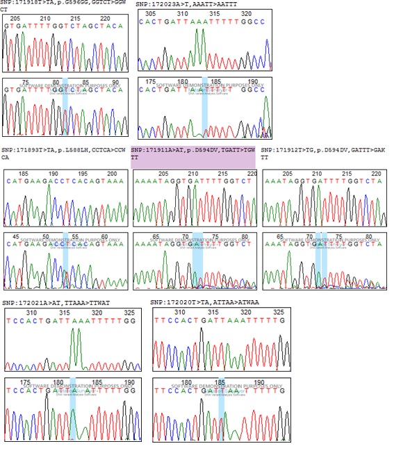 Genetic Diversity and Structuring of the BRAF gene in Breast Tumors