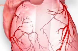 Indirect Effect of the COVID-19 Outbreak in Germany North Rhine Westfalia: Fewer Patients with Acute Coronary Syndrome?