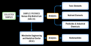 Effects of Storage Temperature and Duration on Carbohydrate Metabolism and Physicochemical Properties of Potato Tubers Effects of Storage Temperature and Duration on Carbohydrate Metabolism and Physicochemical Properties of Potato Tubers