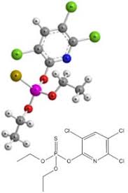 Impacts of Perigestational Exposure to Chlorpyrifos And High-Fat Diet on Ileum Contractility in Male Rats at Early Adulthood