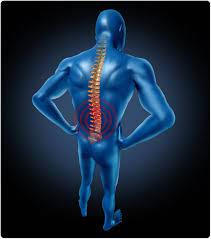 Clinical and Electrophysiological Aspects in Children with Spinal Muscular Atrophy Type 1, 2 and 3 before Treatment