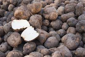 Comparative Study on The Glycemic Indices of Three Yam Cultivars (Dioscorea rotundata, Dioscorea alata and Dioscorea dumentorum) As Affected by ThreeProcessing Methods