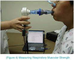 Impact of Obesity on Respiratory Muscle Strength in Adult Females