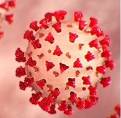 Evaluation of Mutagenicity of COVID-19 Virus and the Effect of Morphine in its Treatment